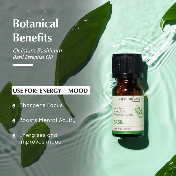 Basil Pure Essential Oil & Burner Bundle