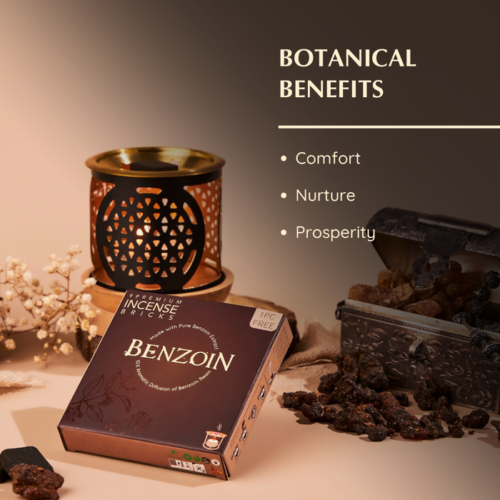 Benzoin Incense Bricks & Burner Set